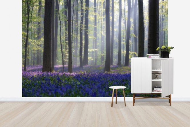 PHOTOWALL / Bluebells (e22406)