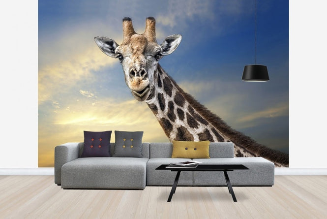 PHOTOWALL / Friendly Giraffe (e22525)
