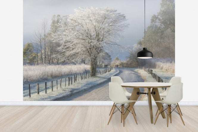 PHOTOWALL / Frosty Morning (e22540)