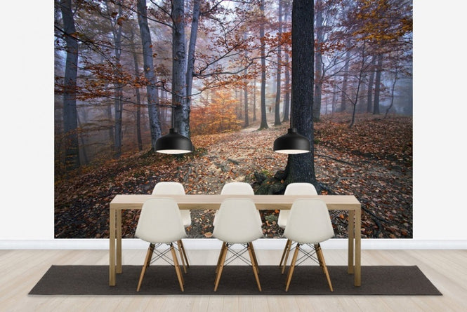 PHOTOWALL / Autumn Forest (e22553)