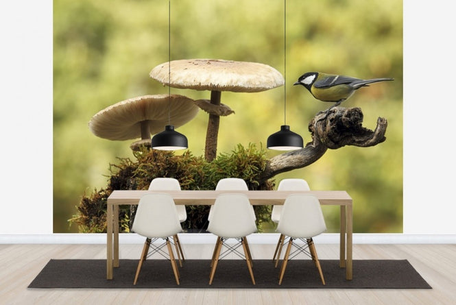 PHOTOWALL / Mushrooms & Bird (e22562)