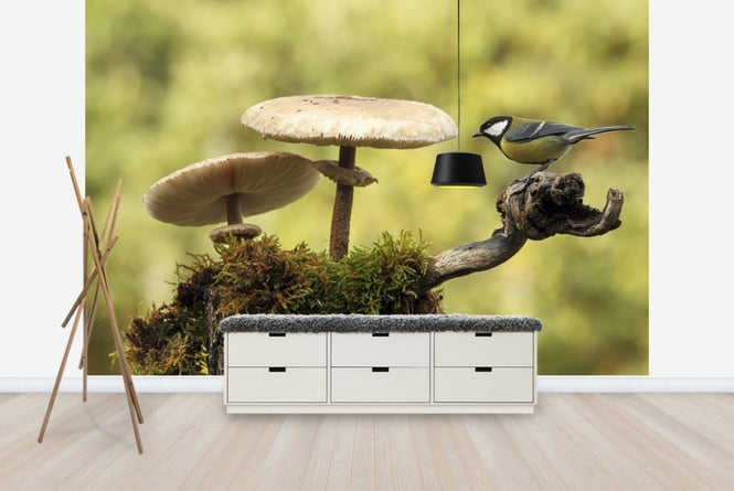 PHOTOWALL / Mushrooms & Bird (e22562)