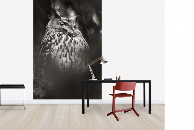 PHOTOWALL / Misty Owl (e22570)
