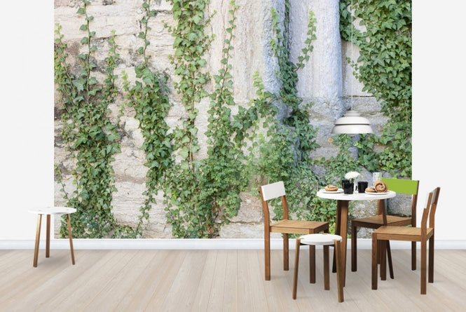 PHOTOWALL / Ivy Ruin (e23096)