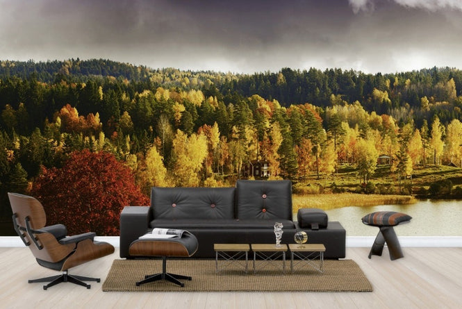 PHOTOWALL / Autumn colored Landscape in Sweden (e23164)