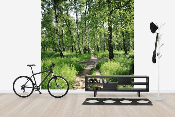 PHOTOWALL / Birch Forest on Sunny day (e23168)