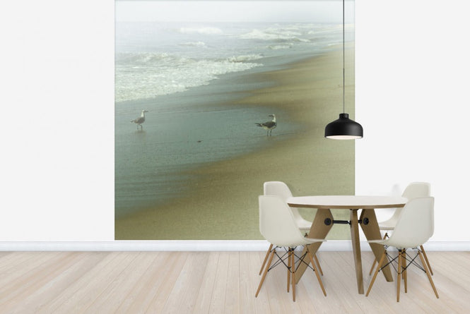 PHOTOWALL / Seabirds (e23460)