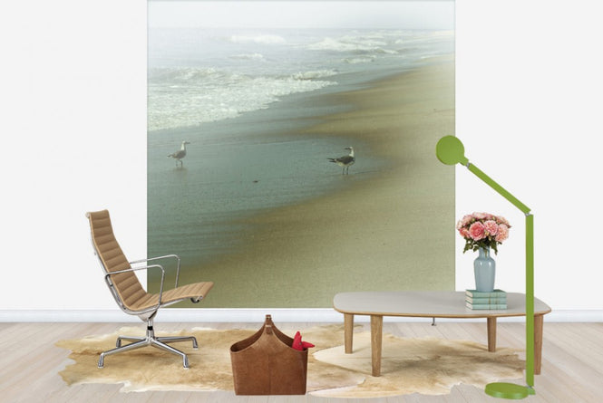 PHOTOWALL / Seabirds (e23460)