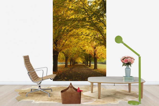 PHOTOWALL / Yellow Sugar Maple Alley (e23510)