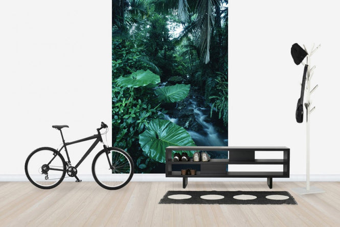PHOTOWALL / Rainforest (e23514)