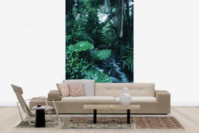 PHOTOWALL / Rainforest (e23514)