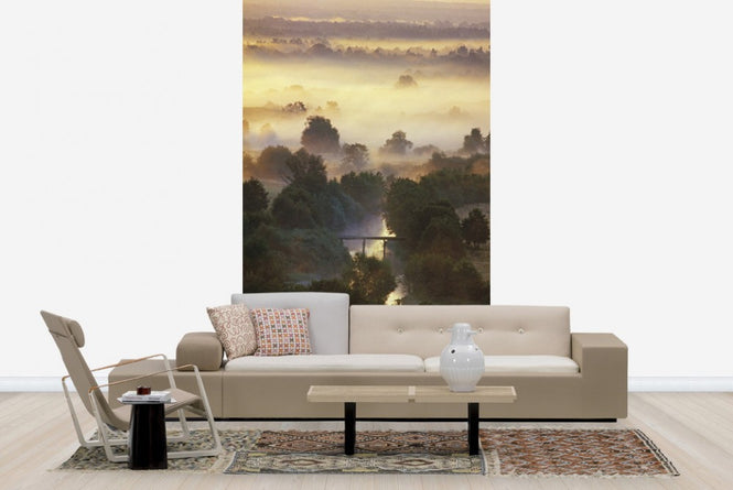 PHOTOWALL / Misty Shimmering Forest (e23517)