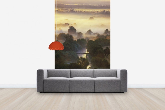 PHOTOWALL / Misty Shimmering Forest (e23517)