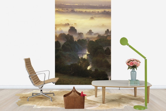PHOTOWALL / Misty Shimmering Forest (e23517)