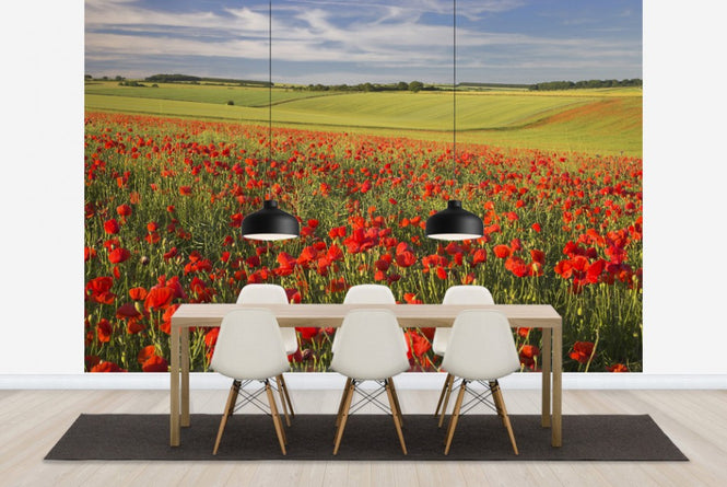 PHOTOWALL / Sea of Poppies (e23529)