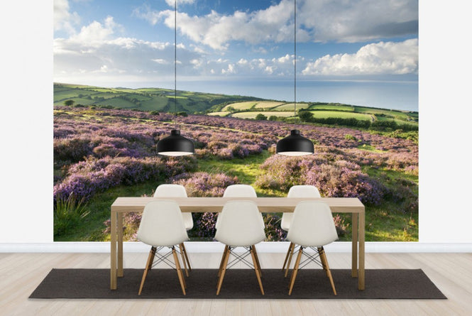 PHOTOWALL / Flowering Heather (e23589)