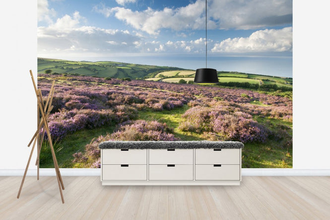 PHOTOWALL / Flowering Heather (e23589)