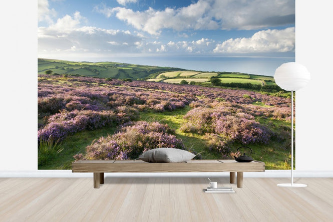 PHOTOWALL / Flowering Heather (e23589)