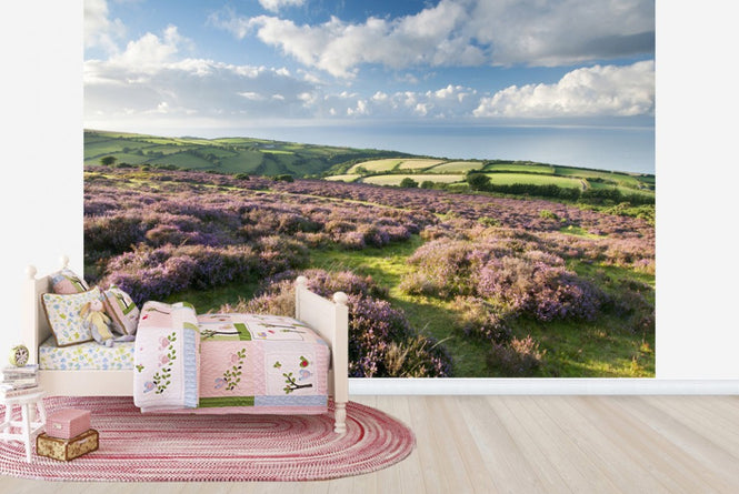 PHOTOWALL / Flowering Heather (e23589)