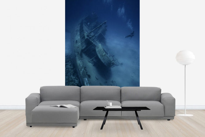 PHOTOWALL / Shipwreck and Diver (e23592)