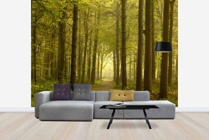 PHOTOWALL / Path through Golden Forest (e23602)