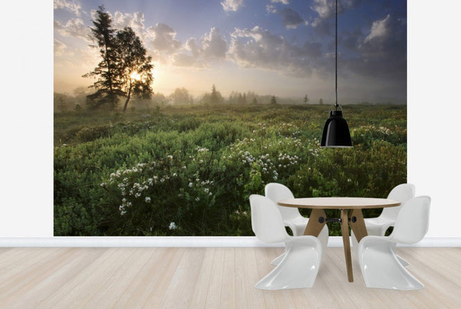 PHOTOWALL / Delightful Meadow at Dawn (e23604)