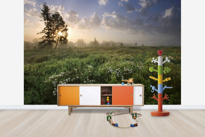 PHOTOWALL / Delightful Meadow at Dawn (e23604)