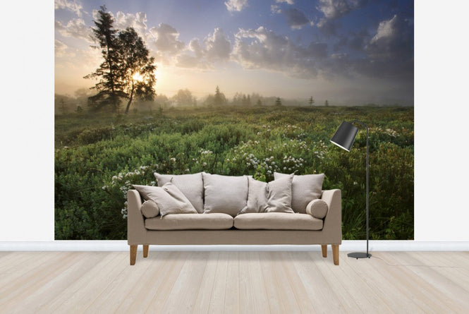 PHOTOWALL / Delightful Meadow at Dawn (e23604)
