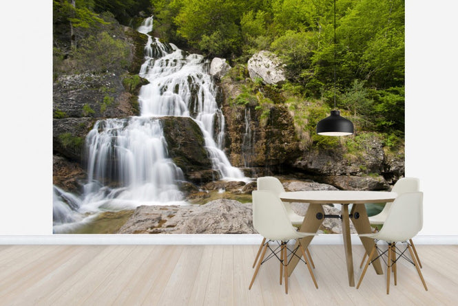 PHOTOWALL / Springs of Yaga River (e23605)