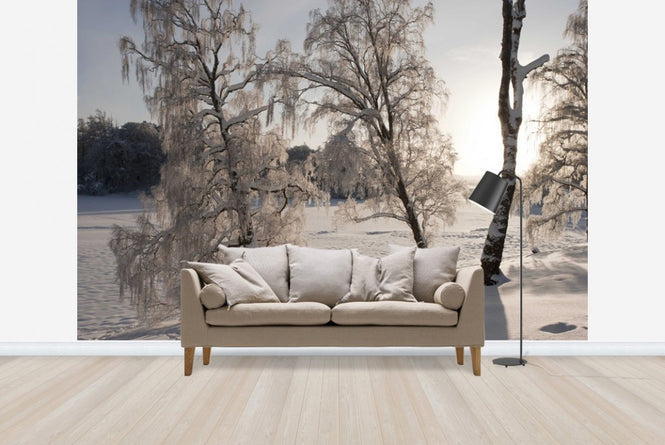 PHOTOWALL / Snow-Covered Silver Birches (e23612)