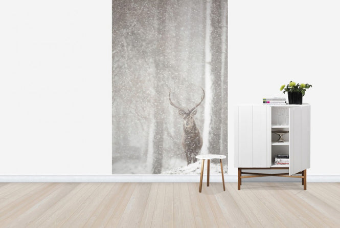 PHOTOWALL / Red Deer in Heavy Snowfall (e23616)