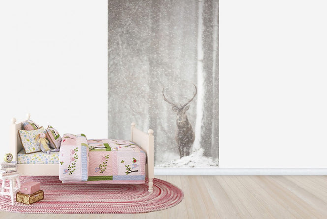 PHOTOWALL / Red Deer in Heavy Snowfall (e23616)