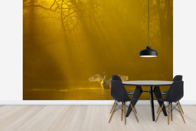 PHOTOWALL / Golden Swan Lake (e23639)