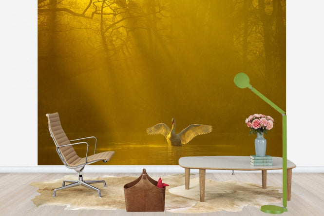 PHOTOWALL / Golden Swan Lake (e23639)