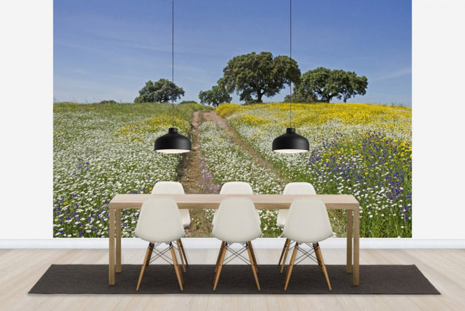 PHOTOWALL / Cork Oaks and Flowering Meadow (e23648)