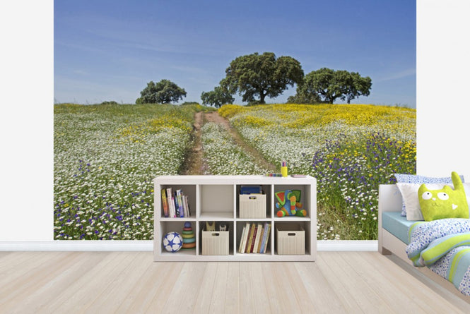 PHOTOWALL / Cork Oaks and Flowering Meadow (e23648)