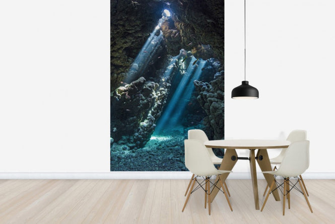 PHOTOWALL / Underwater Cavern (e23671)