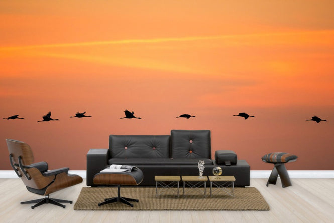 PHOTOWALL / Cranes in Sunrise (e23687)