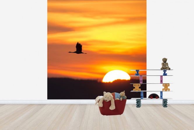 PHOTOWALL / Crane and a Beautiful Sunrise (e23688)