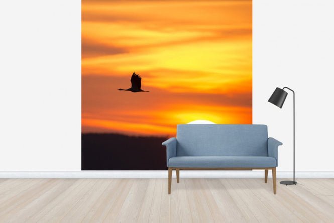PHOTOWALL / Crane and a Beautiful Sunrise (e23688)