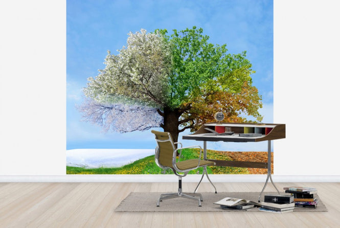 PHOTOWALL / Tree of Four Seasons (e40068)