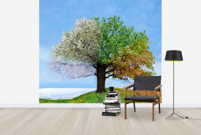 PHOTOWALL / Tree of Four Seasons (e40068)