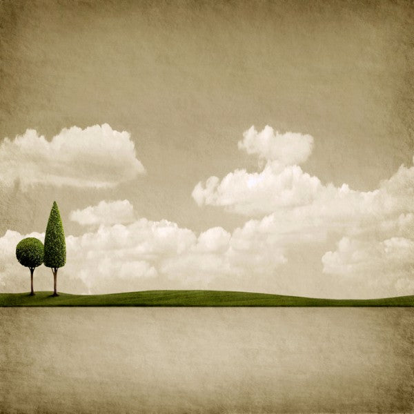 Zoom
