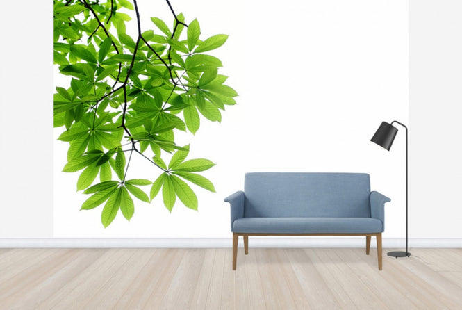 PHOTOWALL / Fresh Leaves (e40115)
