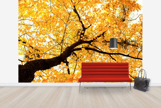 PHOTOWALL / Golden Leaves (e40120)