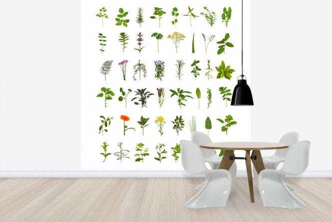 PHOTOWALL / Herb and Flower Collection (e40129)