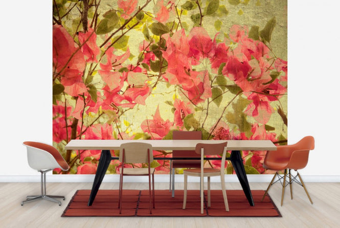 PHOTOWALL / Bougainvillea (e40179)