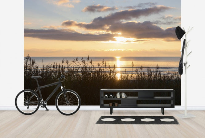 PHOTOWALL / Grass and Sunset - Gotland (e23781)