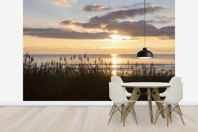 PHOTOWALL / Grass and Sunset - Gotland (e23781)