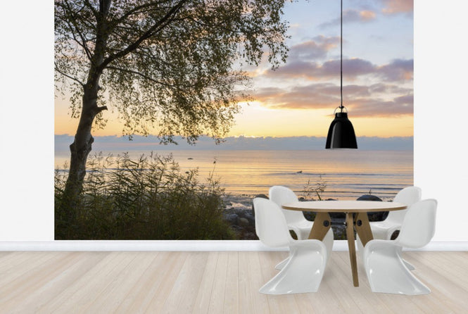 PHOTOWALL / Tree at Sunset - Gotland (e23787)